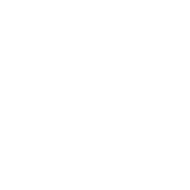 angular js